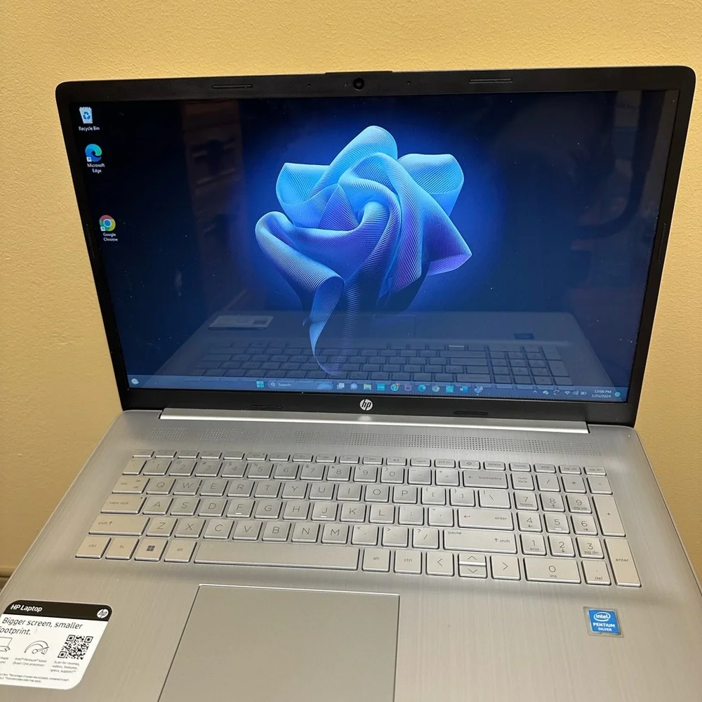 The laptop is too high tech for my skill level
